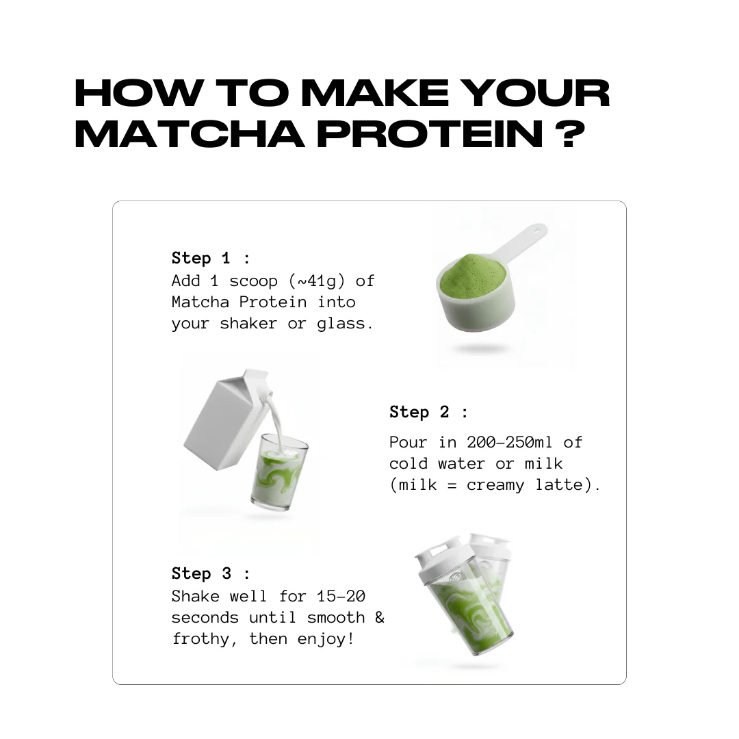 Matcha x Protein | 26 Grams Protein | Polmlek® 30 Servings - Image 6